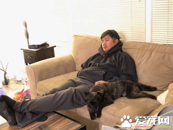 中途第一只狗狗就舍不得送走 只好直接收編