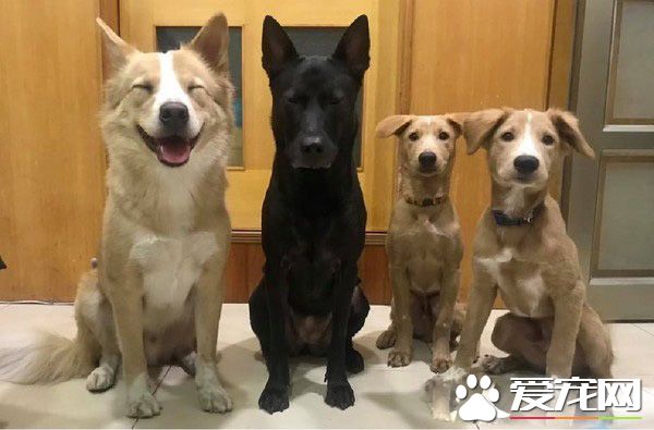 是黑色那位格格不入 還是最左邊那位愛搶鋒頭啊!
