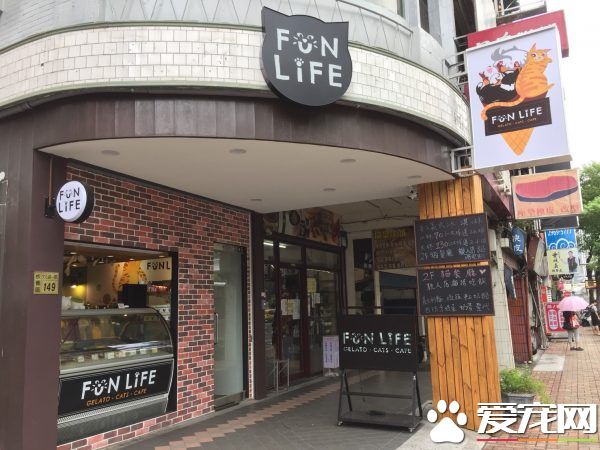 貓咪游樂園主題餐廳  成為未來流浪喵們的庇護所