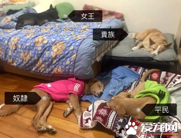 清楚明了的家中地位 平民和奴隸尋找翻身的機會