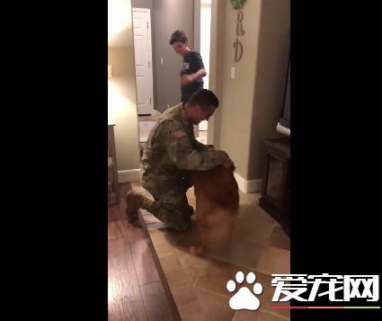 狗狗以為又玩無聊游戲了 竟然出現意外的驚喜