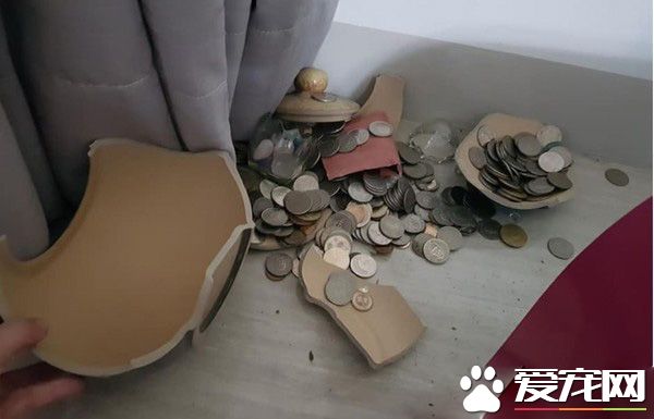 調皮貴賓打破聚寶盆 怕馬麻生氣躲桌子下