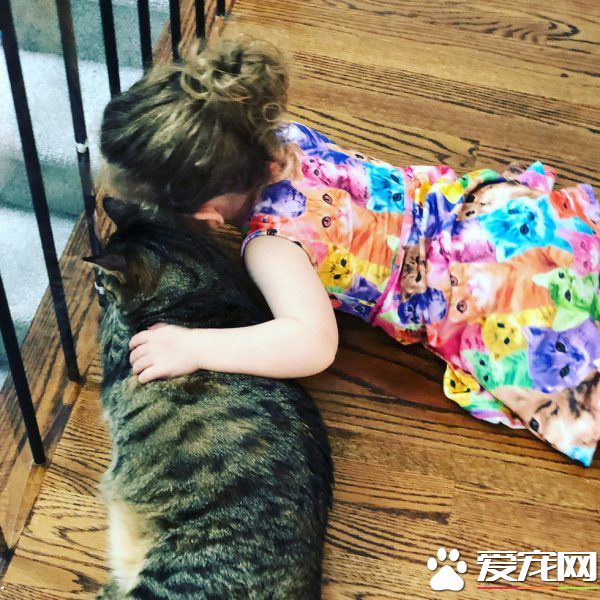 在媽媽的指導之下 小女孩超有慧根成為稱職貓奴
