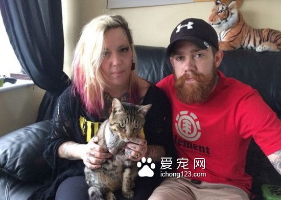3歲寵物貓兩度中槍 被截去一條腿后仍堅強的活著