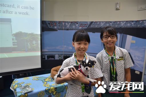零安樂死新措施 臺灣推伴讀犬前進學校