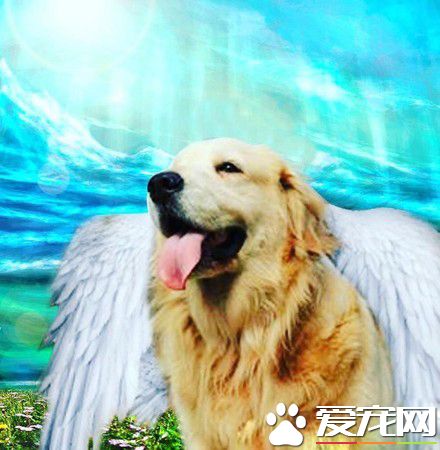 妹妹真的回來了! 阿金癌癥逝去變成女嬰回來