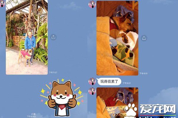 阿公不舍金孫回家 霸氣傳簡訊這個月放我這
