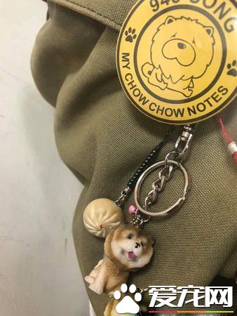 回家發現鬆獅弟弟趴著不動 搖動才驚覺全身僵硬了