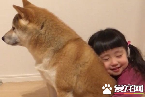 最愛的就是哥哥! 女孩緊抱柴哥哥超幸福畫面