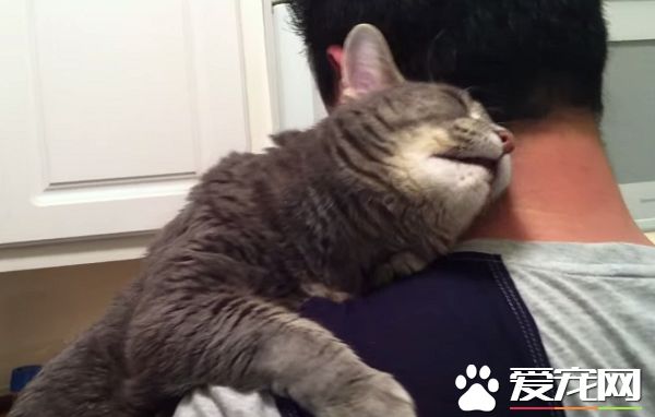 看得人都要融化啦！超會撒嬌的喵星人