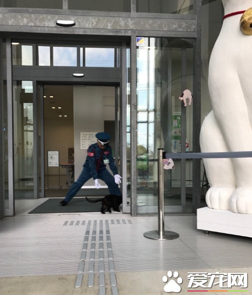 喵星人想進美術館 和保全的攻防互動在網絡上爆紅