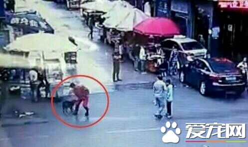 貴州惡犬2小時咬傷23人 遭警察圍捕亂棒擊殺