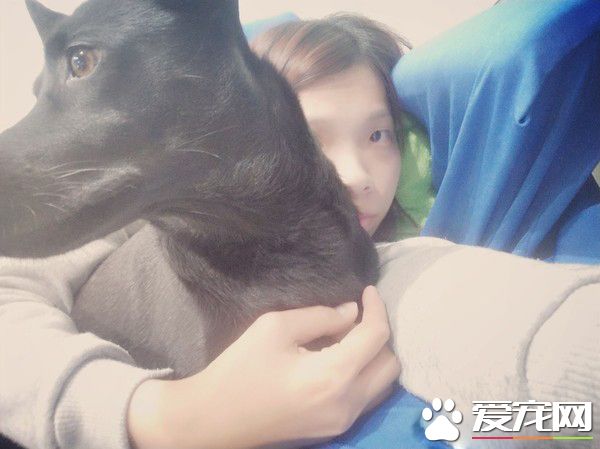 PO出自己與家中毛孩的合照 母女臉相似度高達99%