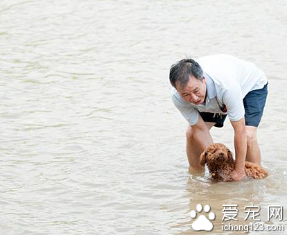 廣西開啟“桑拿”模式 市民帶著寵物<a href=/zhonglei/gou/ target=_blank class=infotextkey>狗</a>在柳江河戲水降溫