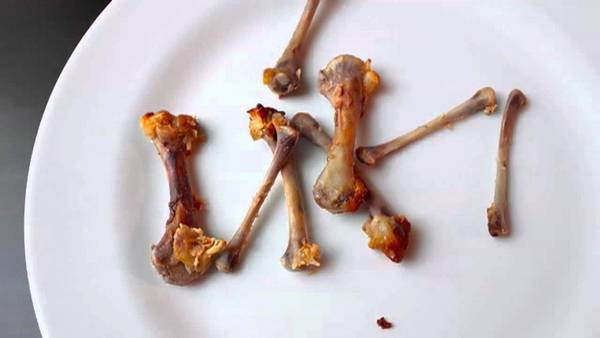狗吃雞骨頭死的前兆