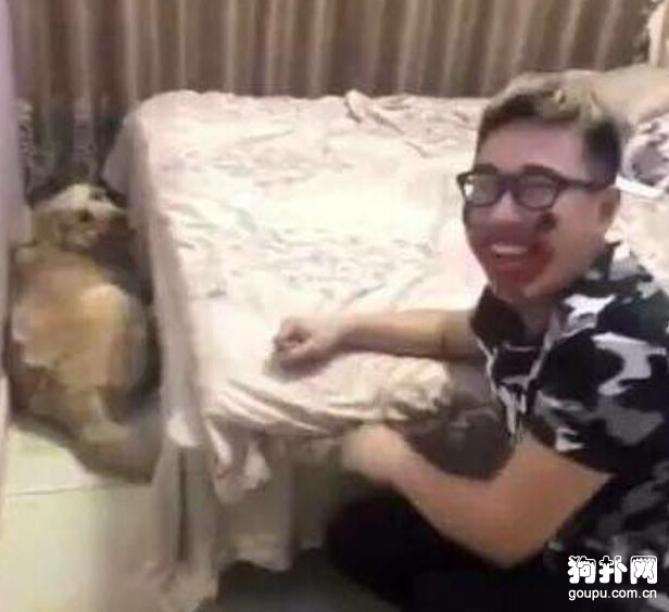 主人”失戀”，狗狗好心安慰卻被捉弄，心疼狗狗！