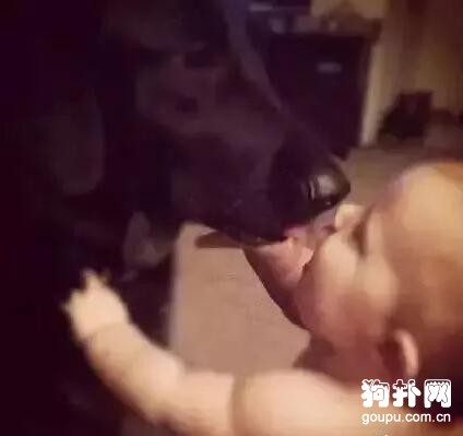 狗狗對保姆低吼，主人查看監控后馬上報警