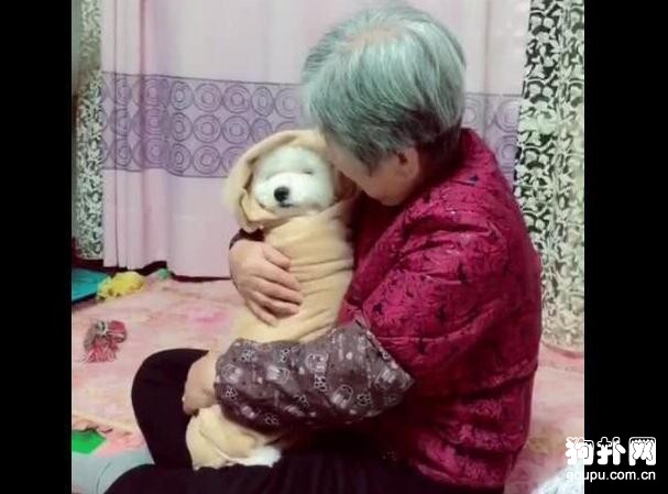 空巢老人把狗狗當孩子養，好笑又心酸