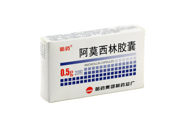 哪些消炎藥可以給狗吃