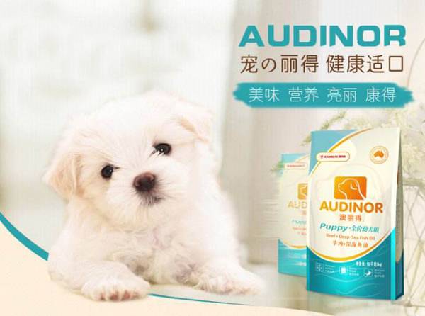 泰迪狗糧什么牌子好