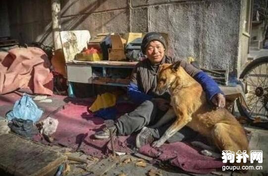 殘疾老人修鞋為生，生活艱苦，幸得忠犬相伴