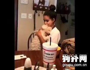 小狗撒嬌技能太6，主人都招架不住了！好羨慕哦