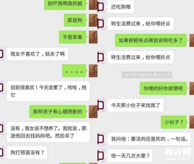 成都女子撿狗拒還，要挾寵主未果，將狗摔死
