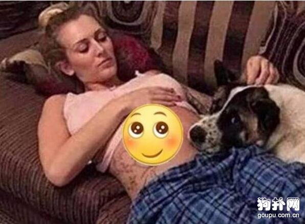 女孩懷孕數月，狗狗卻總用鼻子頂她，到底想干什么？