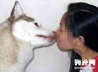 寵主強行要和狗狗親親，惹怒狗狗，嘴巴被咬爛