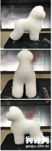 那些“靈魂”美容師做出來的狗狗造型