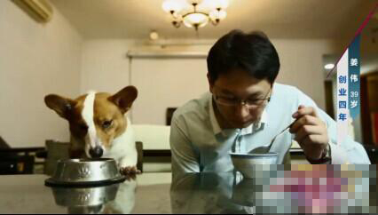 一臺給狗用的電腦DOG PC登央視