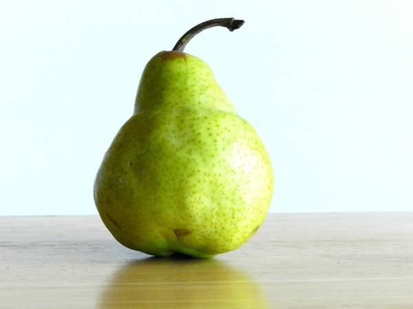 貓能吃梨嗎