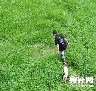 狗狗被裝進麻袋丟下河，圍觀者眾，施救的卻是個小孩