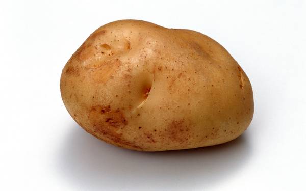 狗可以吃土豆嗎