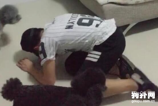 小狗狗們給主人當健身道具，結果集體逃跑，主人被摔慘了