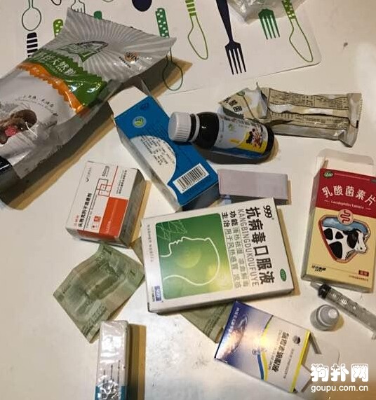 撿了只流浪狗，檢查后發現它得了犬瘟~~