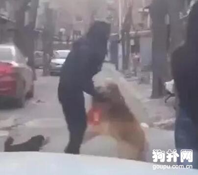 妹子居然找到了失蹤五年的愛犬，真是奇跡呀！