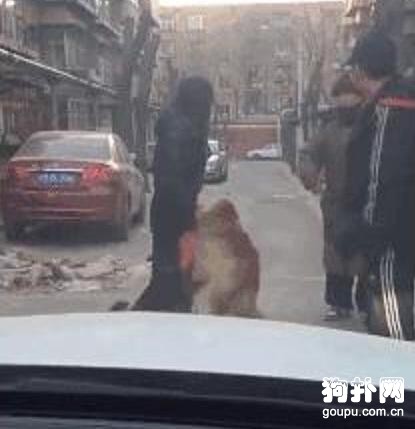 妹子居然找到了失蹤五年的愛犬，真是奇跡呀！