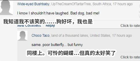 一家人興奮等待見證化繭成蝶的過程，結果蝴蝶卻被狗子一口吞下肚