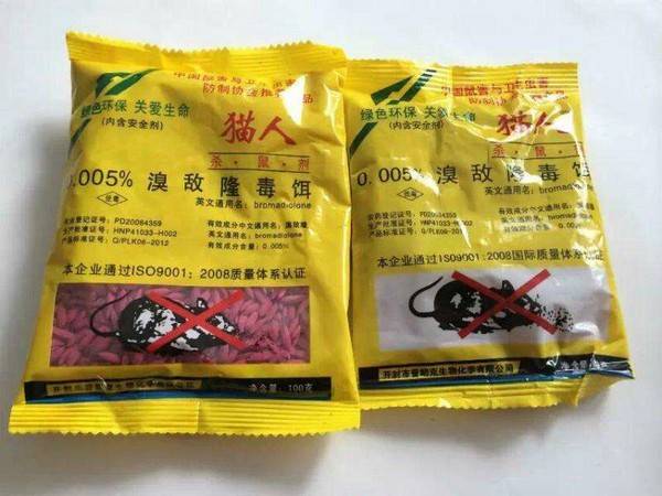 狗狗吃到老鼠藥怎么辦