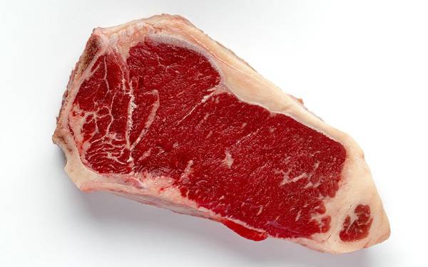 貓能不能吃生肉