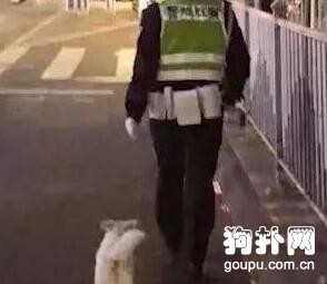 這么冷的夜晚，流浪狗緊跟交警不走！