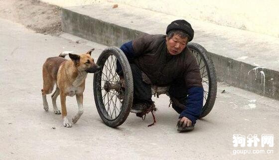 殘疾老人修鞋為生，生活艱苦，幸得忠犬相伴