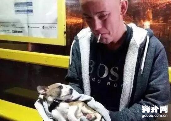 狗狗病重因治療費不夠而去逝，主人和醫院開撕了
