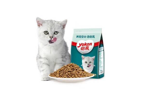 賈乃亮怡親貓糧怎么樣