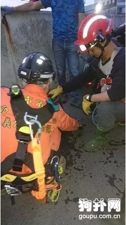 流浪狗落水六天終于得救，消防員霸氣回應：沒人養我來養!