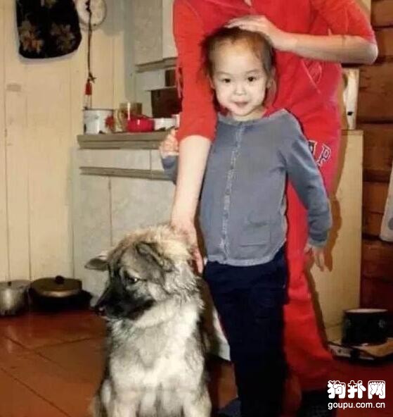 小蘿莉不慎迷失森林，狗狗一路相隨救了她