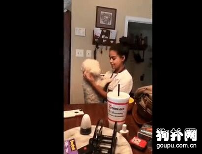 小狗撒嬌技能太6，主人都招架不住了！好羨慕哦