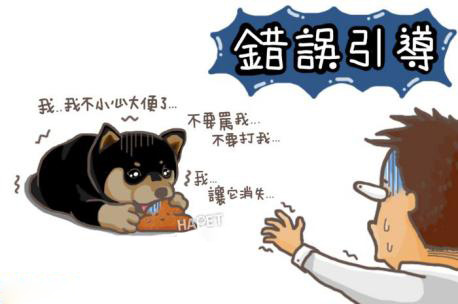 狗為什么吃屎呢
