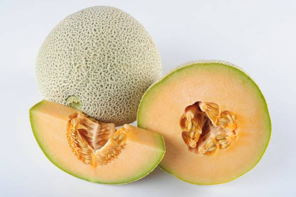 狗可以吃哈密瓜嗎